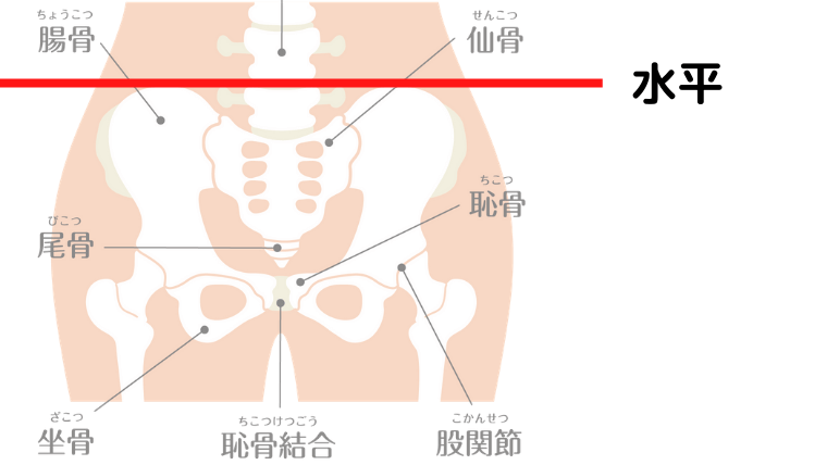 股関節の正しい位置の説明